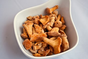 Kantareller
